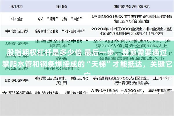 股指期权杠杆是多少倍 最后一步，登顶需要通过攀爬水管和钢条焊接成的“天梯”才能抵达，关键它