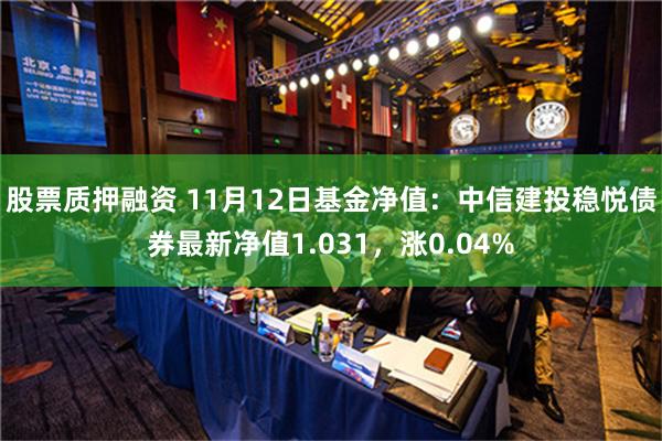 股票质押融资 11月12日基金净值：中信建投稳悦债券最新净值1.031，涨0.04%