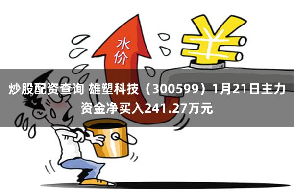 炒股配资查询 雄塑科技（300599）1月21日主力资金净买入241.27万元